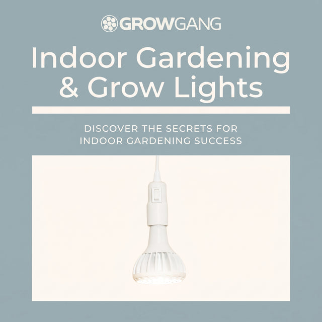  The UKs #1 indoor grow lights